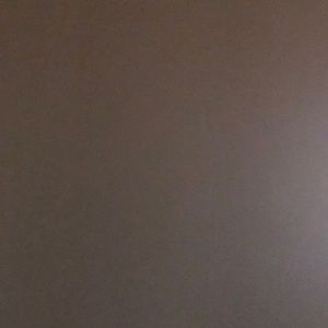 Meet your Posher, Song